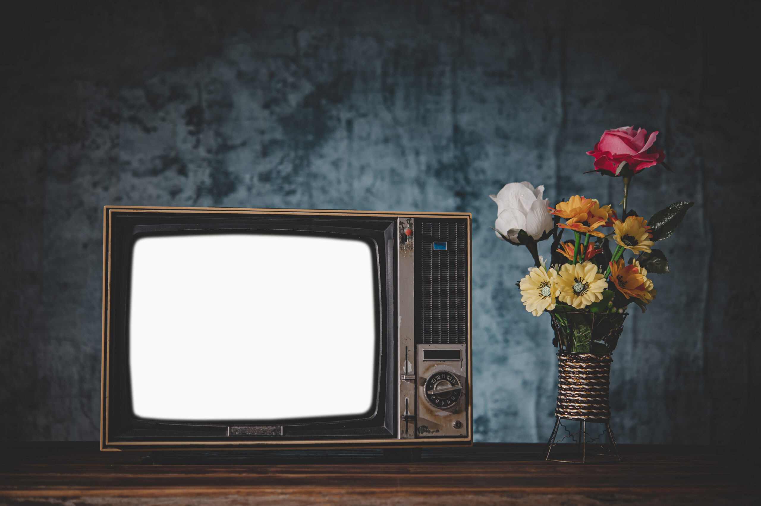 Old retro TV It’s still life with flower vases.